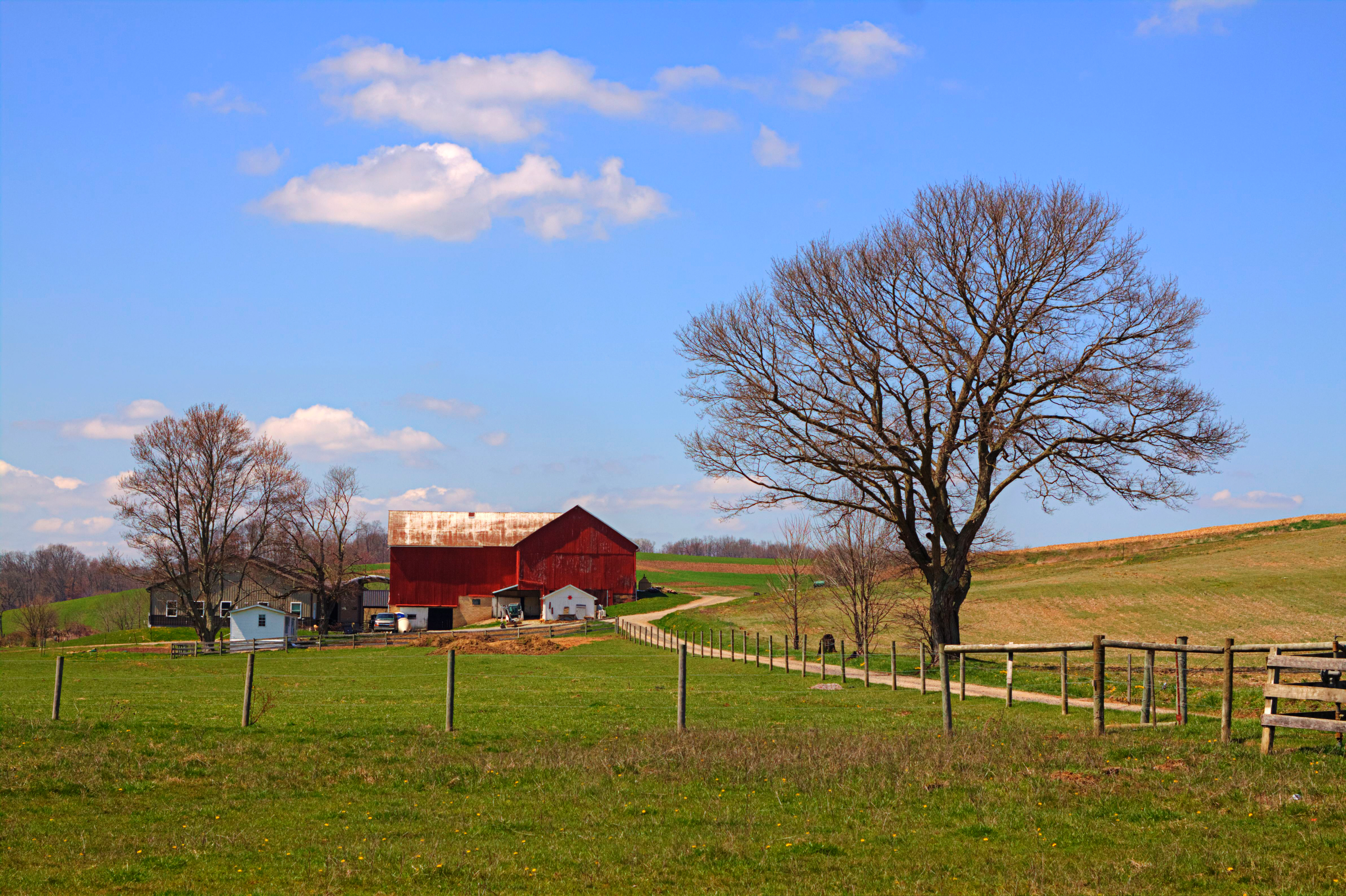 USA Farm